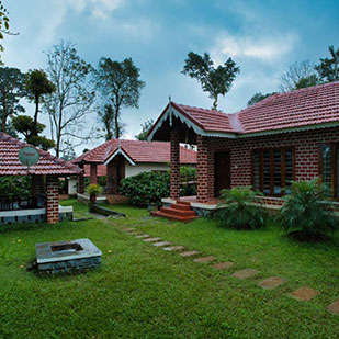Nature view from Coffee County homestay in Coorg