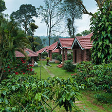 Family friendly homestay in Kodagu at Coffee County