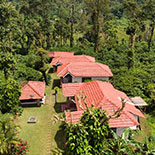 Coffee County homestay near Srimangala, Kutta