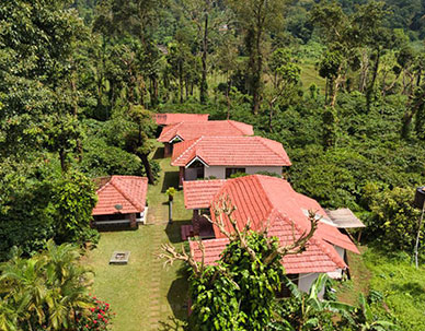 Coorg homestays with scenic natural surroundings