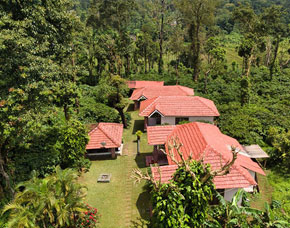 Homestay in Madikeri, Coorg surrounded by lush greenery