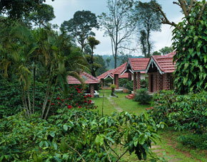 Kodagu homestays near coffee plantations