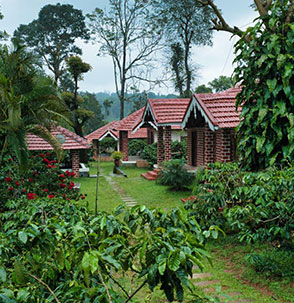 Guided estate walk at homestay in Srimangala Kutta