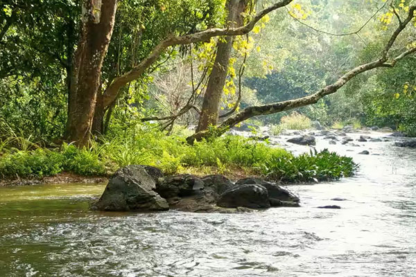 Kuruva Island Wayanad Kuruva Island in Wayanad, a scenic river island ecosystem