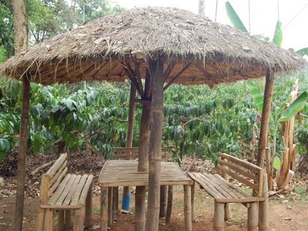 Homestay-in-Madikeri