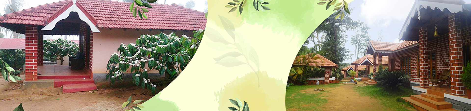 Coffee County Coorg