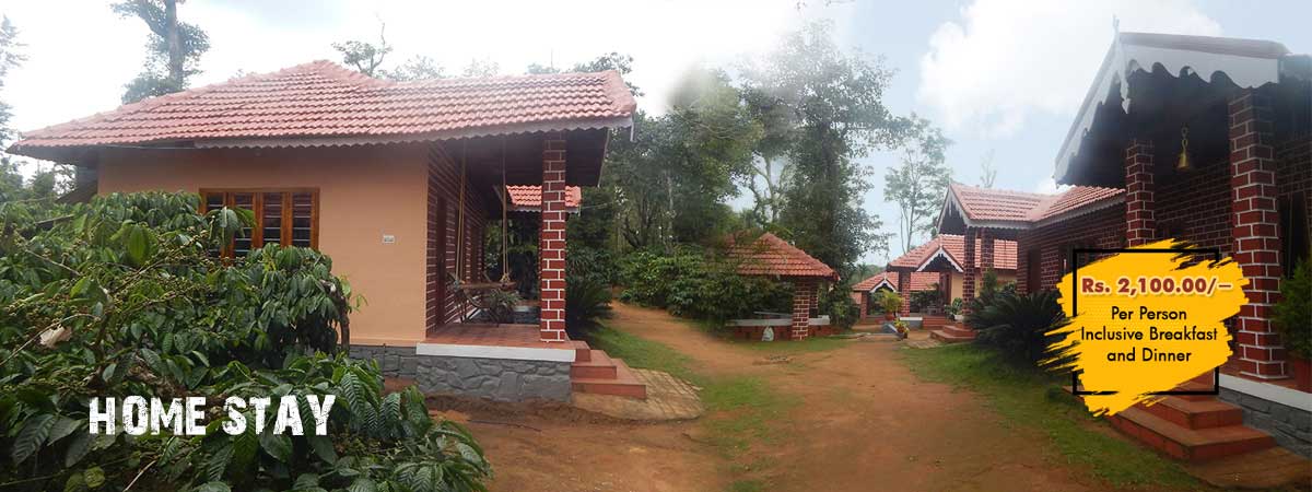 Top Homestay in Coorg banner1